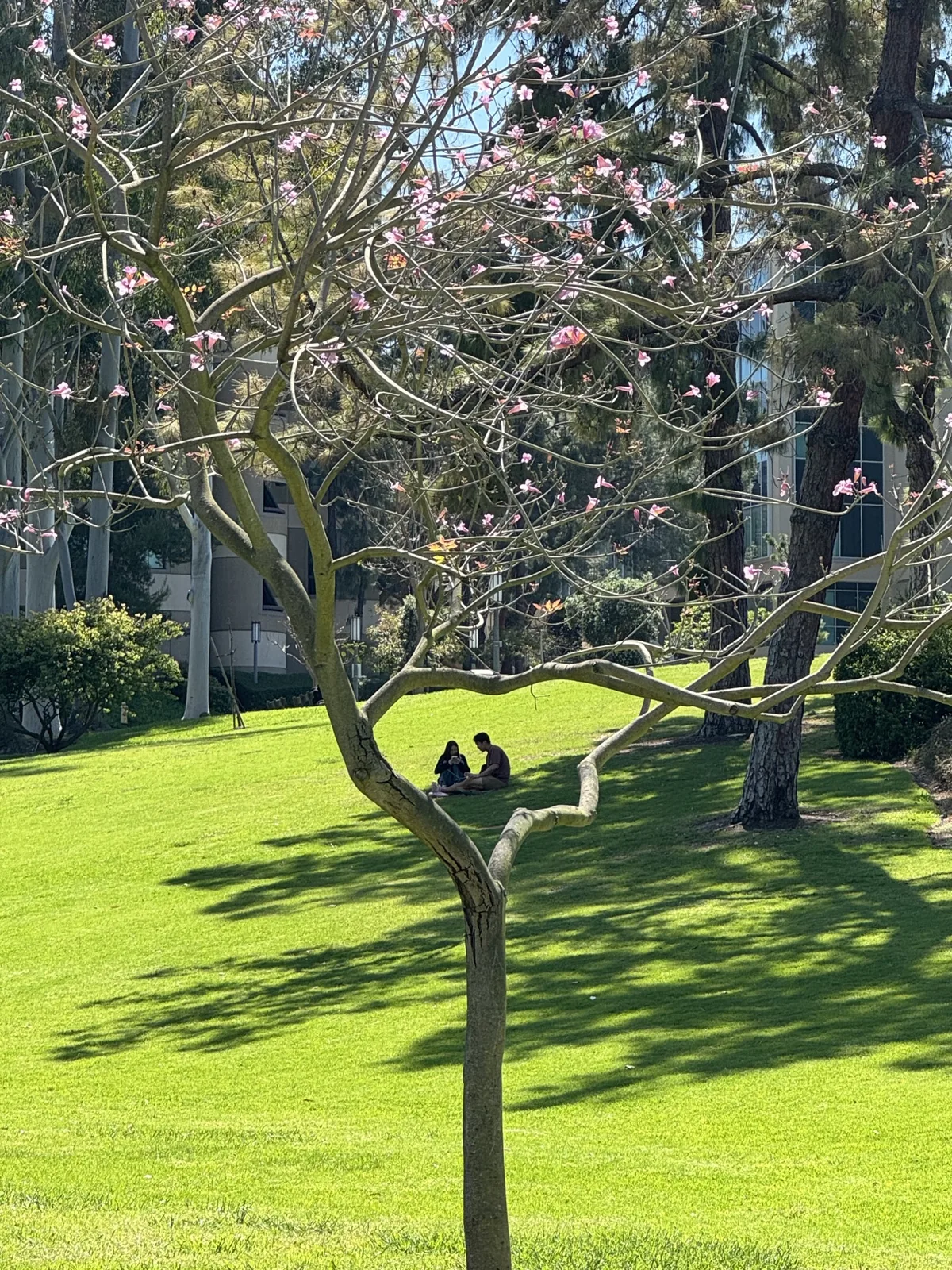 Aldrich Park @ UCI