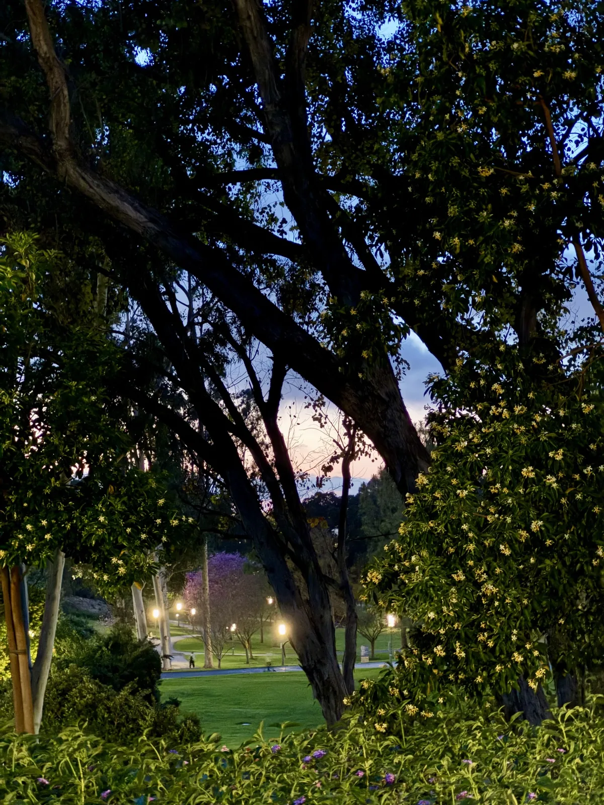 Brandywine Bridge @ UCI